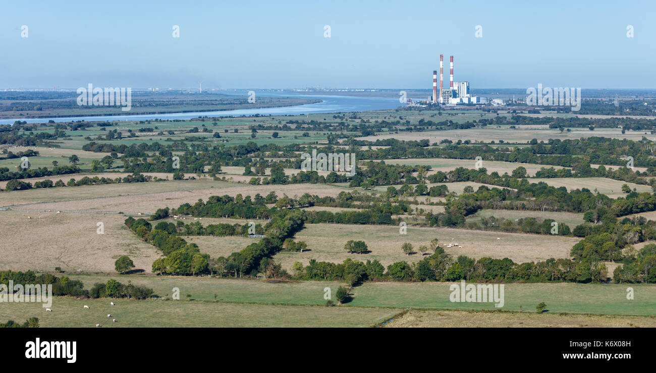 France, Loire Atlantique, Saint Etienne de Montluc, herd of cattle near the Loire river and the thermal power plant (aerial view) Stock Photo