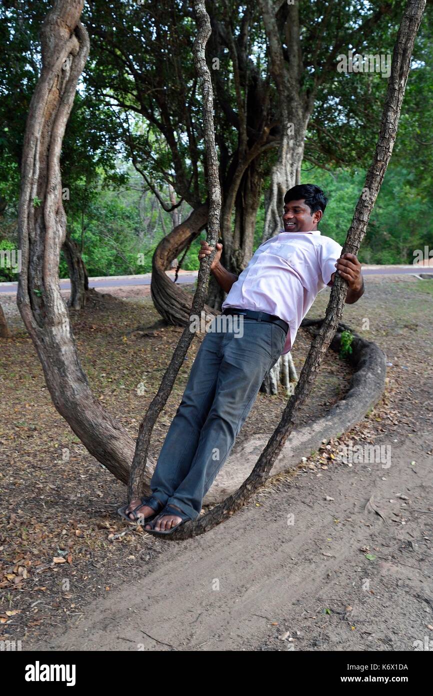 Sri Lanka, North Central province, Polonnaruwa, the former capital of the  country (11th to 13th century), natural swing in a vine branch Stock Photo  - Alamy