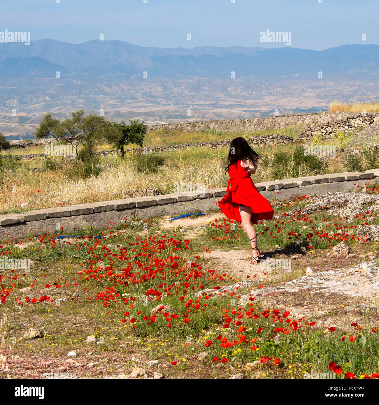 Dancing poppy hi-res stock photography and images - Alamy