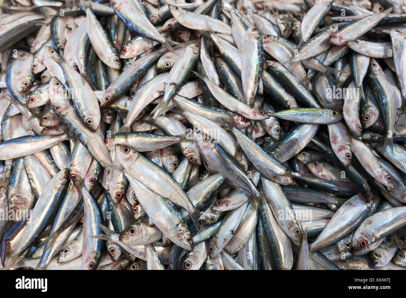 United Arab Emirates, Dubai, Deira, Dubai Fish Market Stock Photo - Alamy