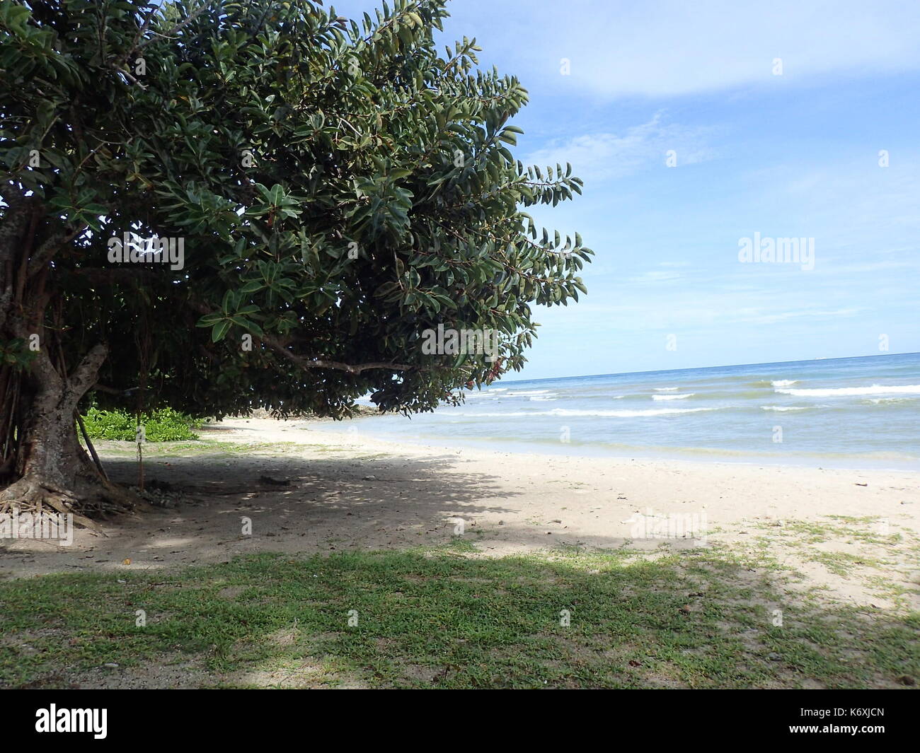 Isabela City, Philippines. 13th Sep, 2017. The scenic coastal of Basilan has Sea Poison Tree (Barringtonia asiatica), a salt-tolerant landscape tree that adds a dramatic beauty to the unspoiled seascape of the island province. Credit: Sherbien Dacalanio/Pacific Press/Alamy Live News Stock Photo