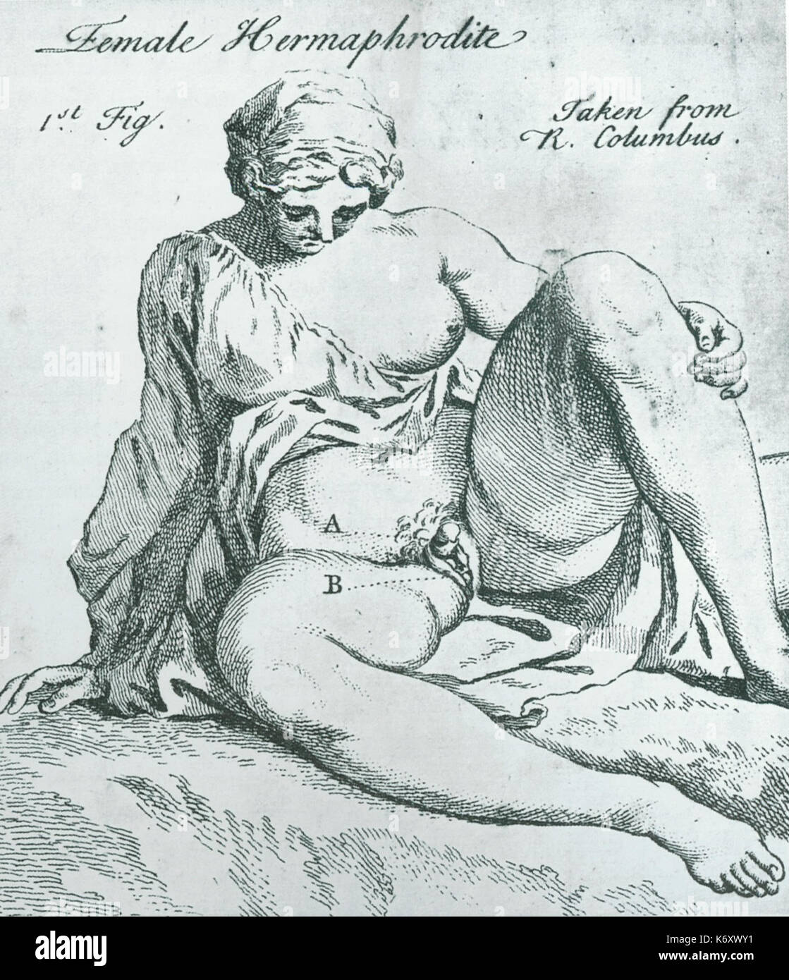 Hemaphrodites 