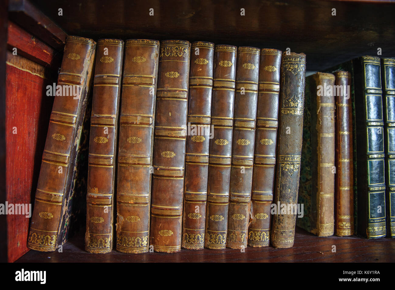 Old vintage books on the wooden bookshelf Stock Photo - Alamy