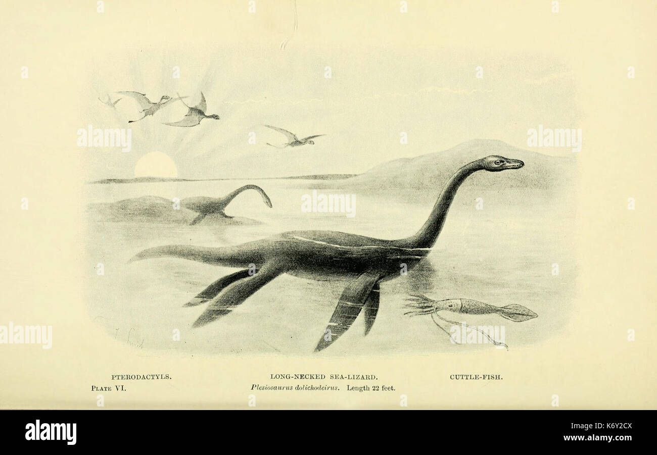 Extinct monsters map hi-res stock photography and images - Alamy