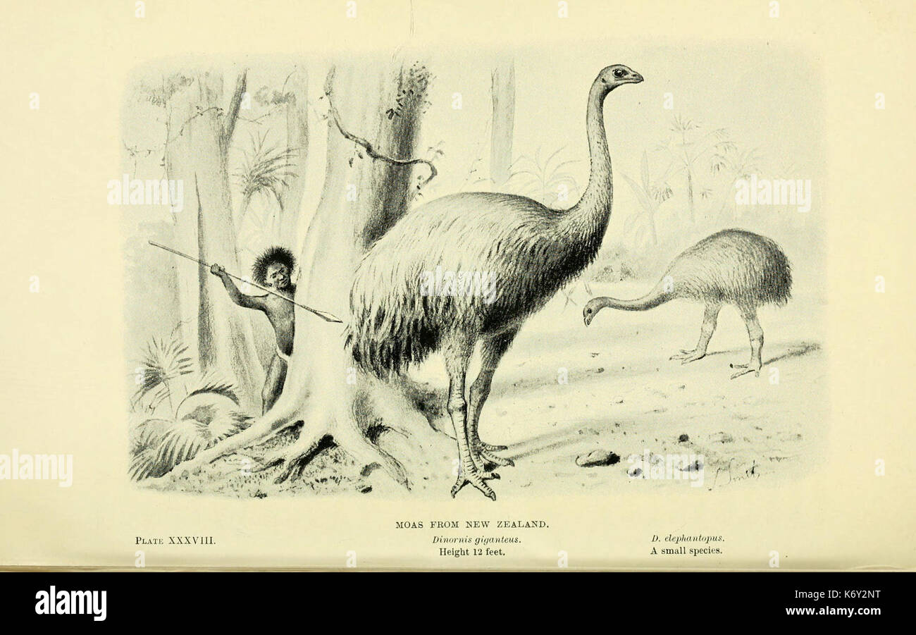 Extinct monsters map hi-res stock photography and images - Alamy