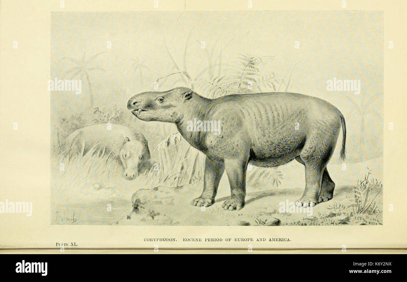 Extinct monsters map hi-res stock photography and images - Alamy