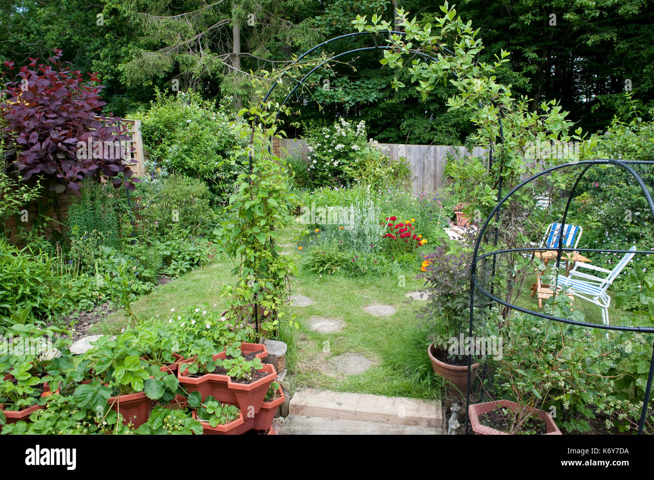 Wildlife Garden, Kent, UK, planted with flowers and shrubs to attract