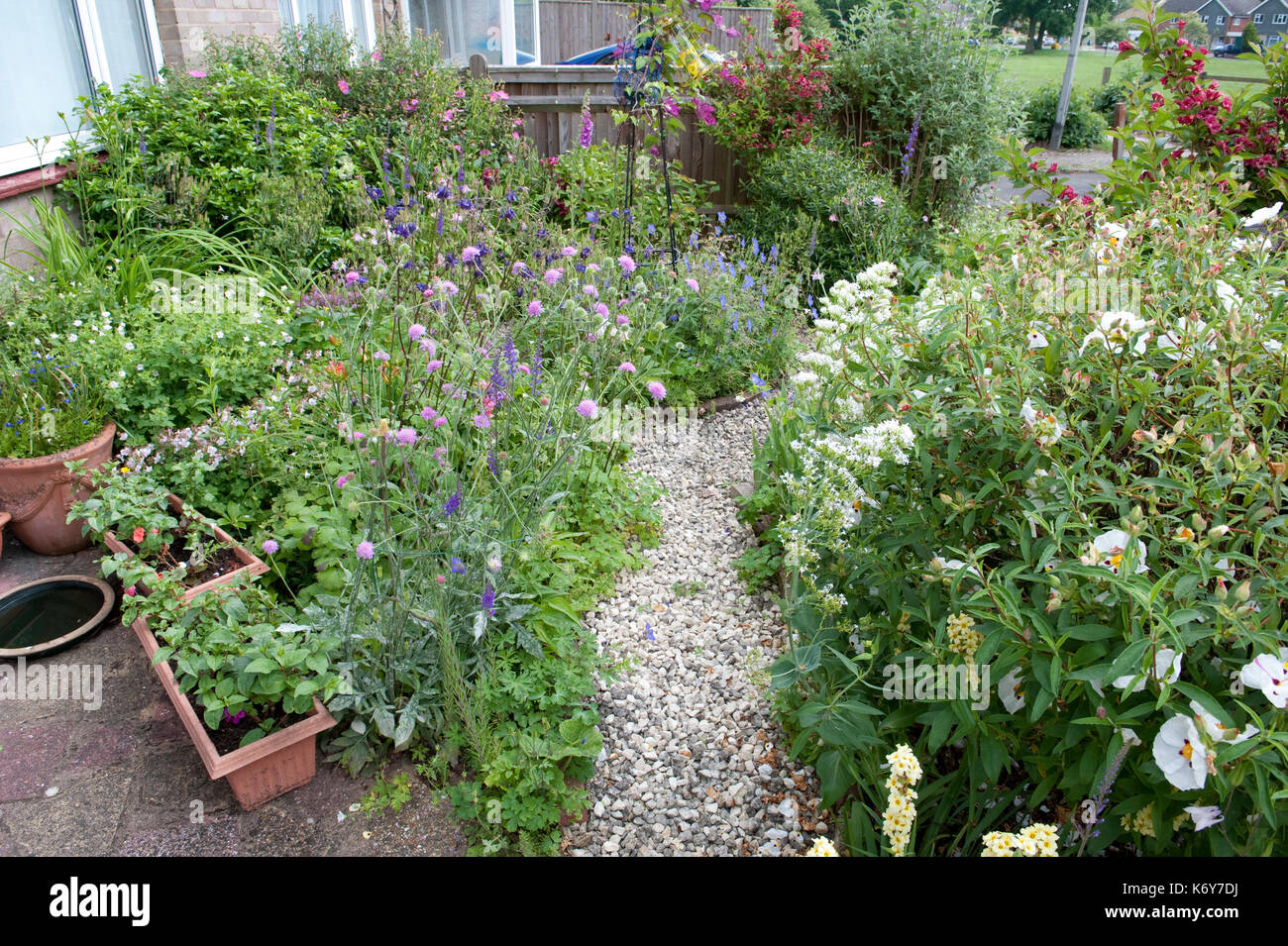 Wildlife Garden, Kent, UK, planted with flowers and shrubs to attract various birds, insects and other wildlife Stock Photo