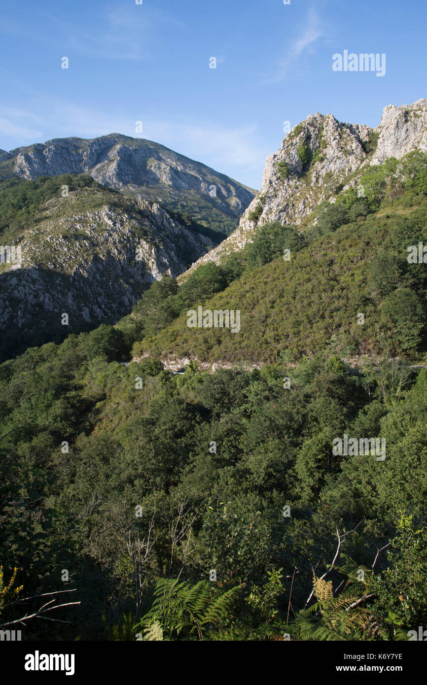 Picos de Europa Mountain Range outisde Labra, Austurias; Spain Stock ...