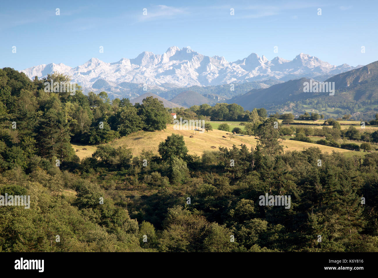 Picos de Europa Mountain Range outside Labra; Austurias; Spain Stock ...