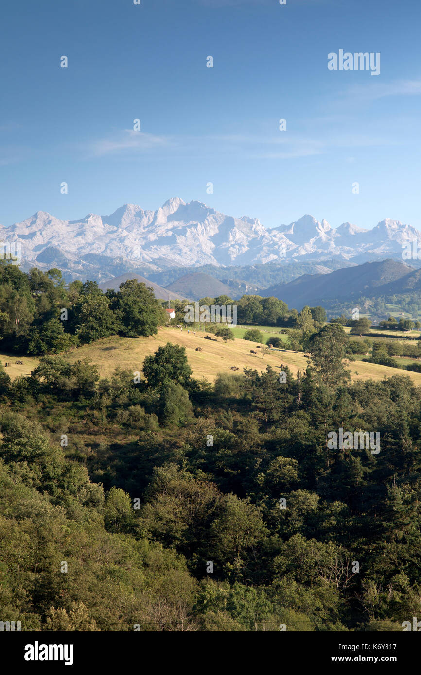 Picos de Europa Mountain Range outside Labra; Austurias; Spain Stock ...