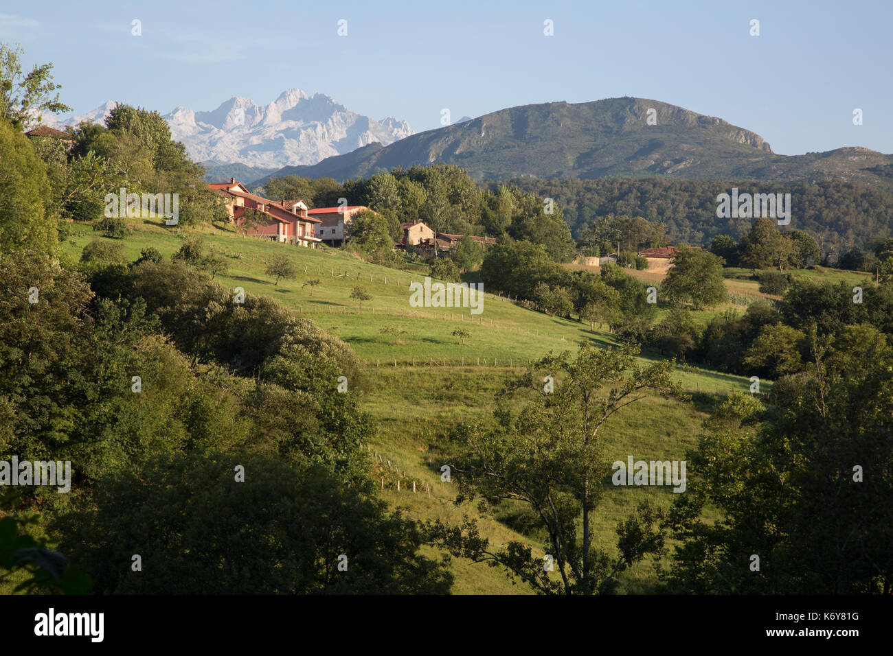 Picos de Europa Mountain Range outside Labra; Austurias; Spain Stock ...