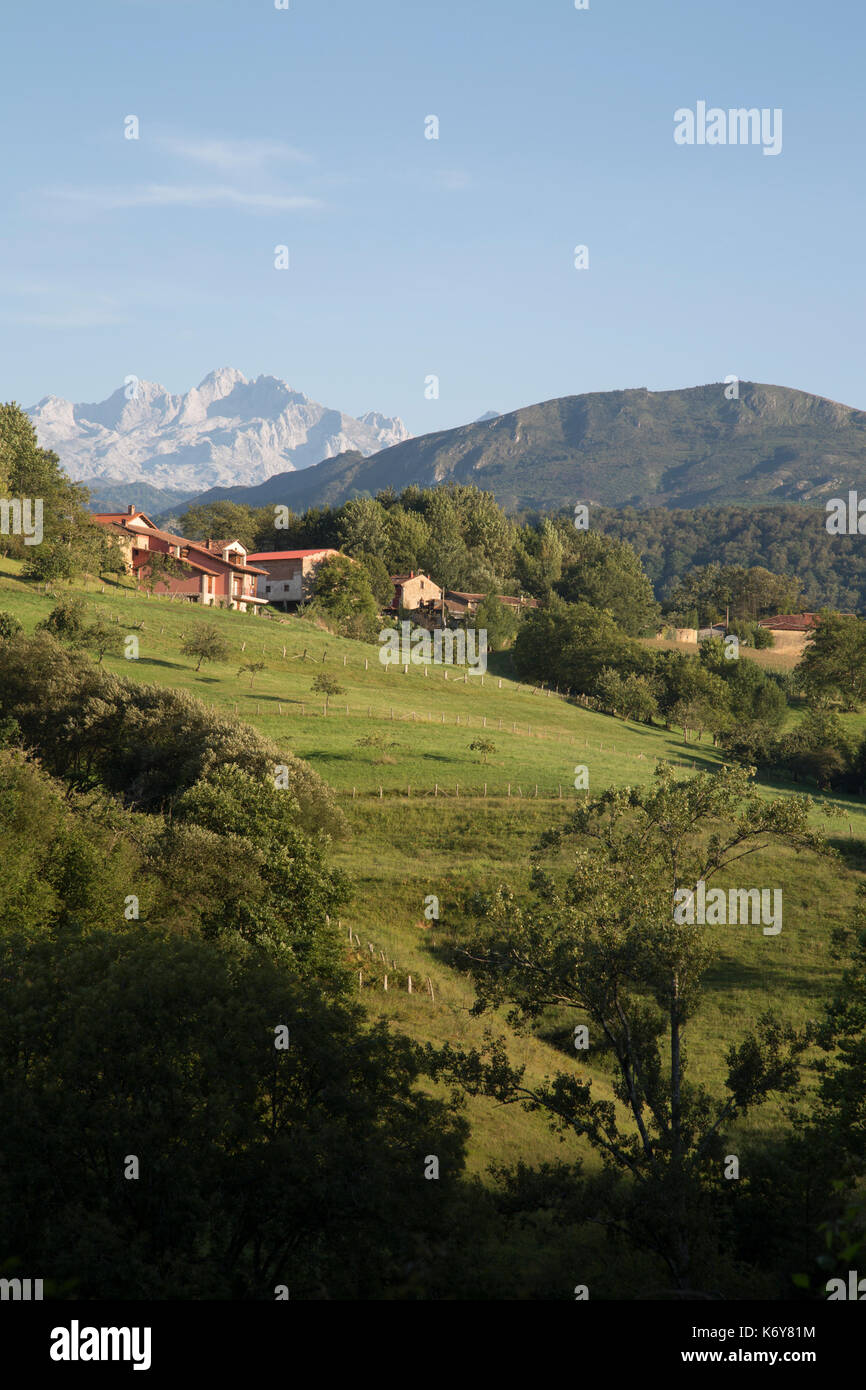 Picos de Europa Mountain Range outside Labra; Austurias; Spain Stock ...
