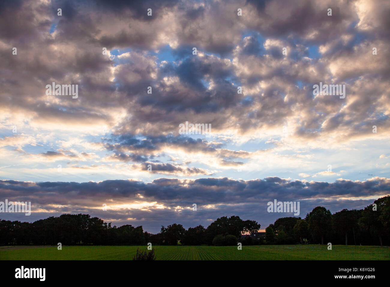 Europe, Germany, North Rhine-Westphalia, Lower Rhine region, evening sky, fields near Hamminkeln-Marienthal.   Europa, Deutschland, Nordrhein-Westfale Stock Photo