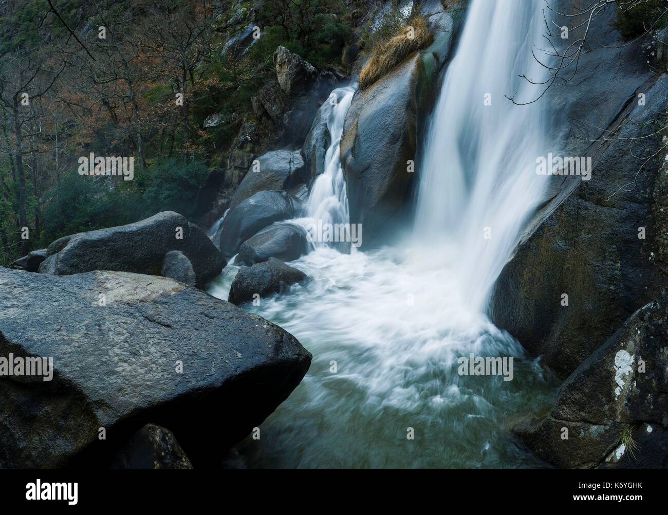 La Truite High Resolution Stock Photography And Images Alamy