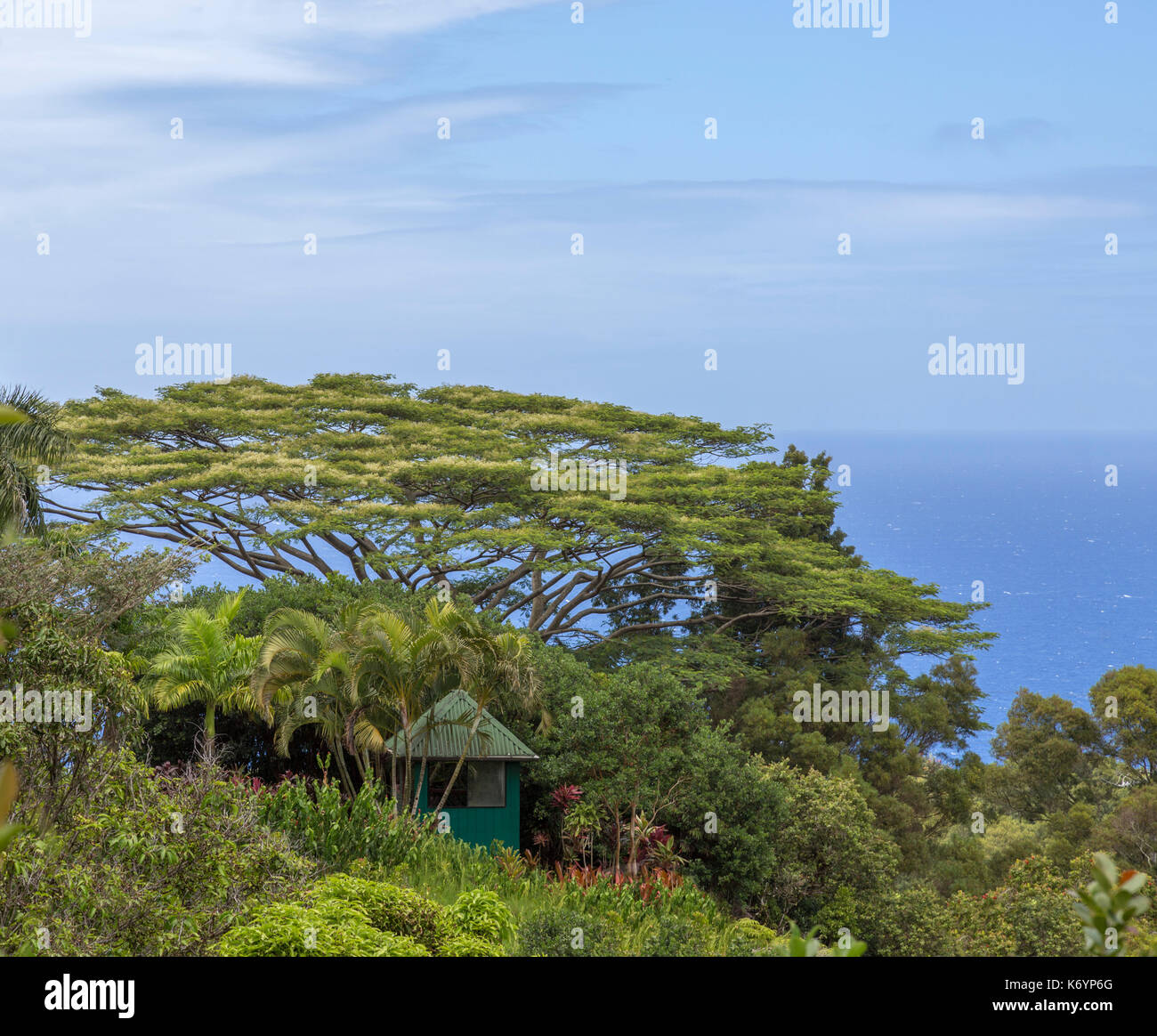 Lush scene over looking ocean. This can be found in the Garden of Eden,a stop along the road to Hana. Maui, Hawaii. Stock Photo