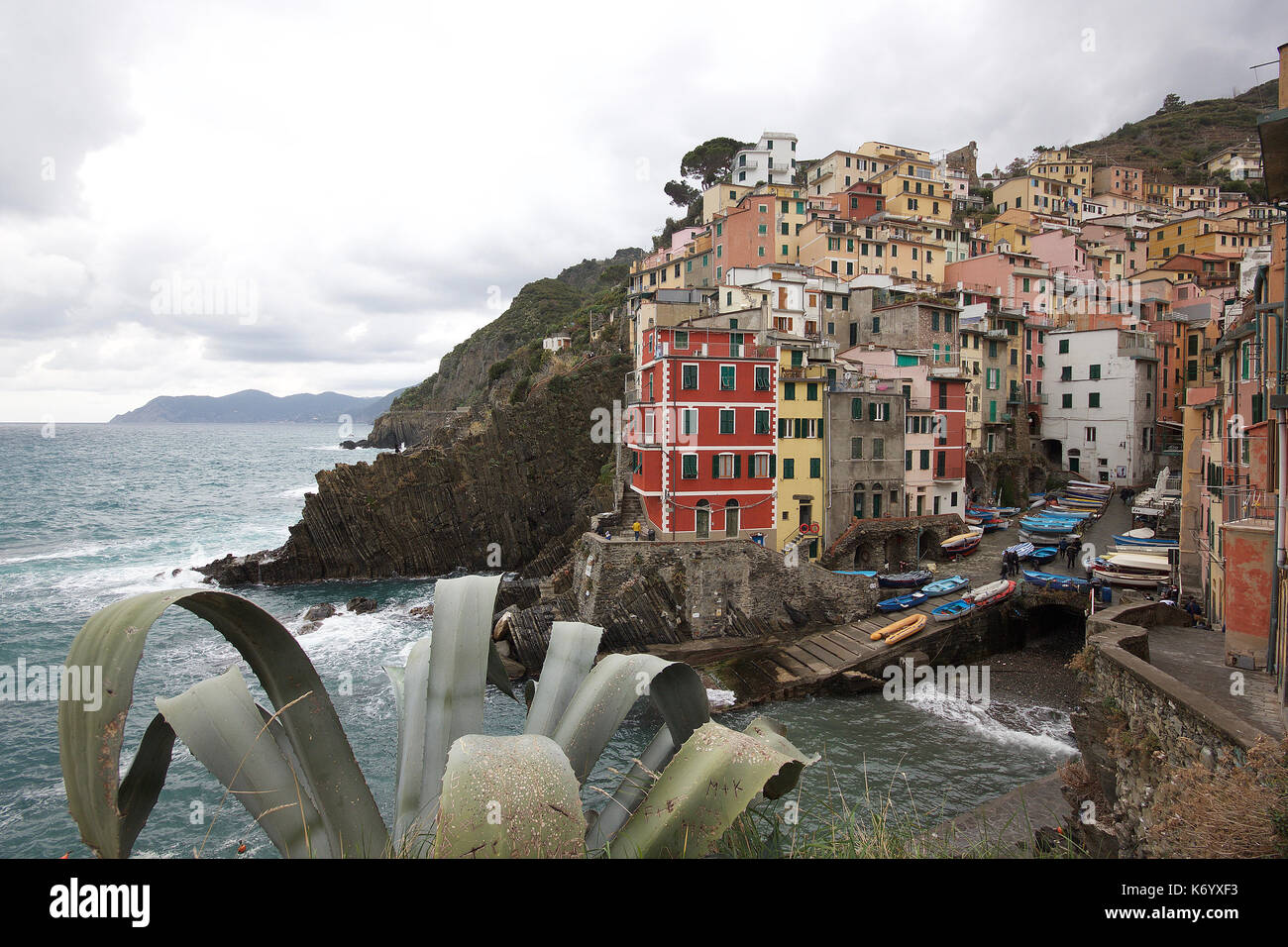 the beautiful pastel colored houses of Manarola, Le Cinque Terre, Italy, from a distance, photoarkive Stock Photo
