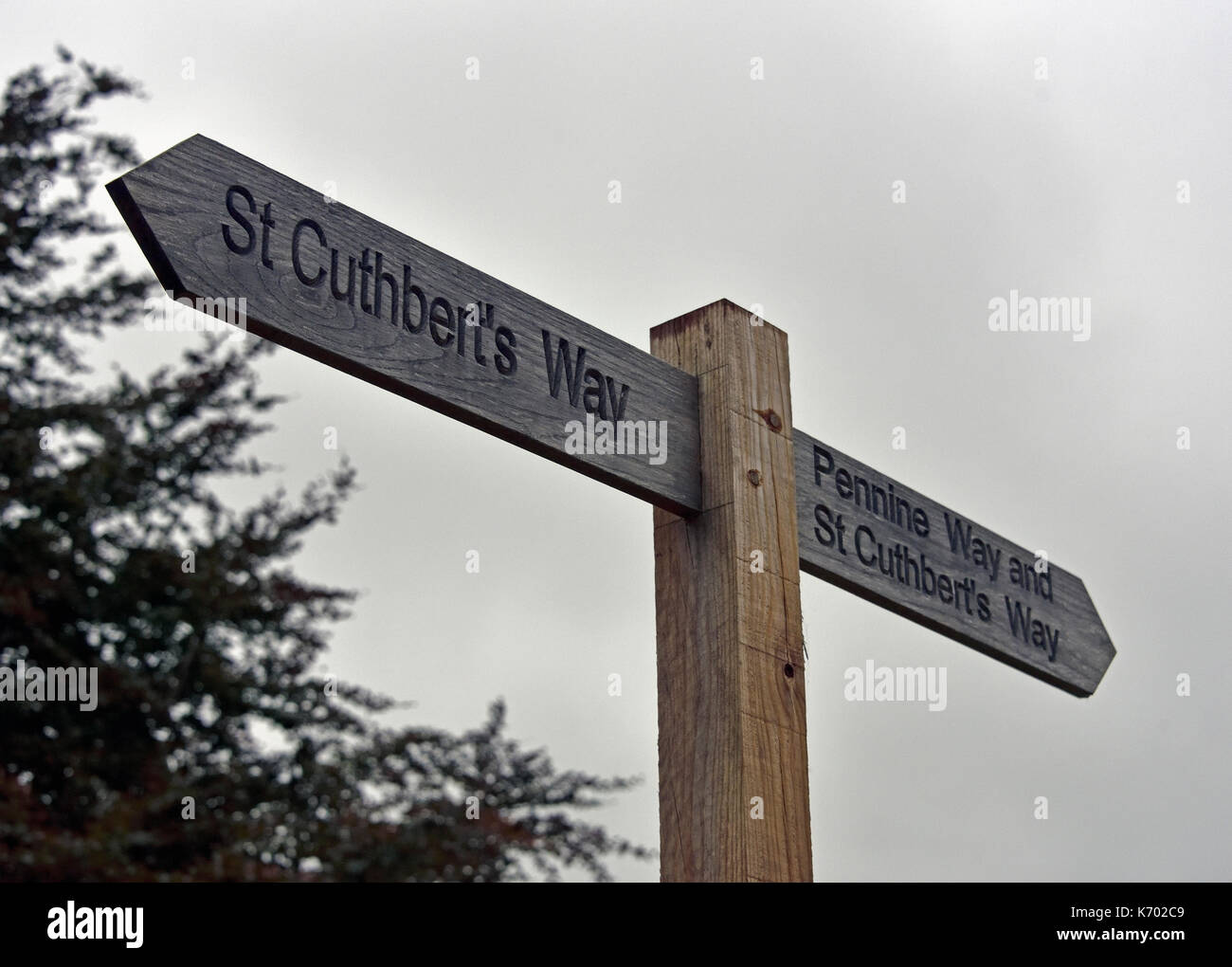 Fingerpost, St Cuthbert's Way and Pennine Way. Kirk Yetholme, Scottish Borders, Scotland, United Kingdom, Europe. Stock Photo