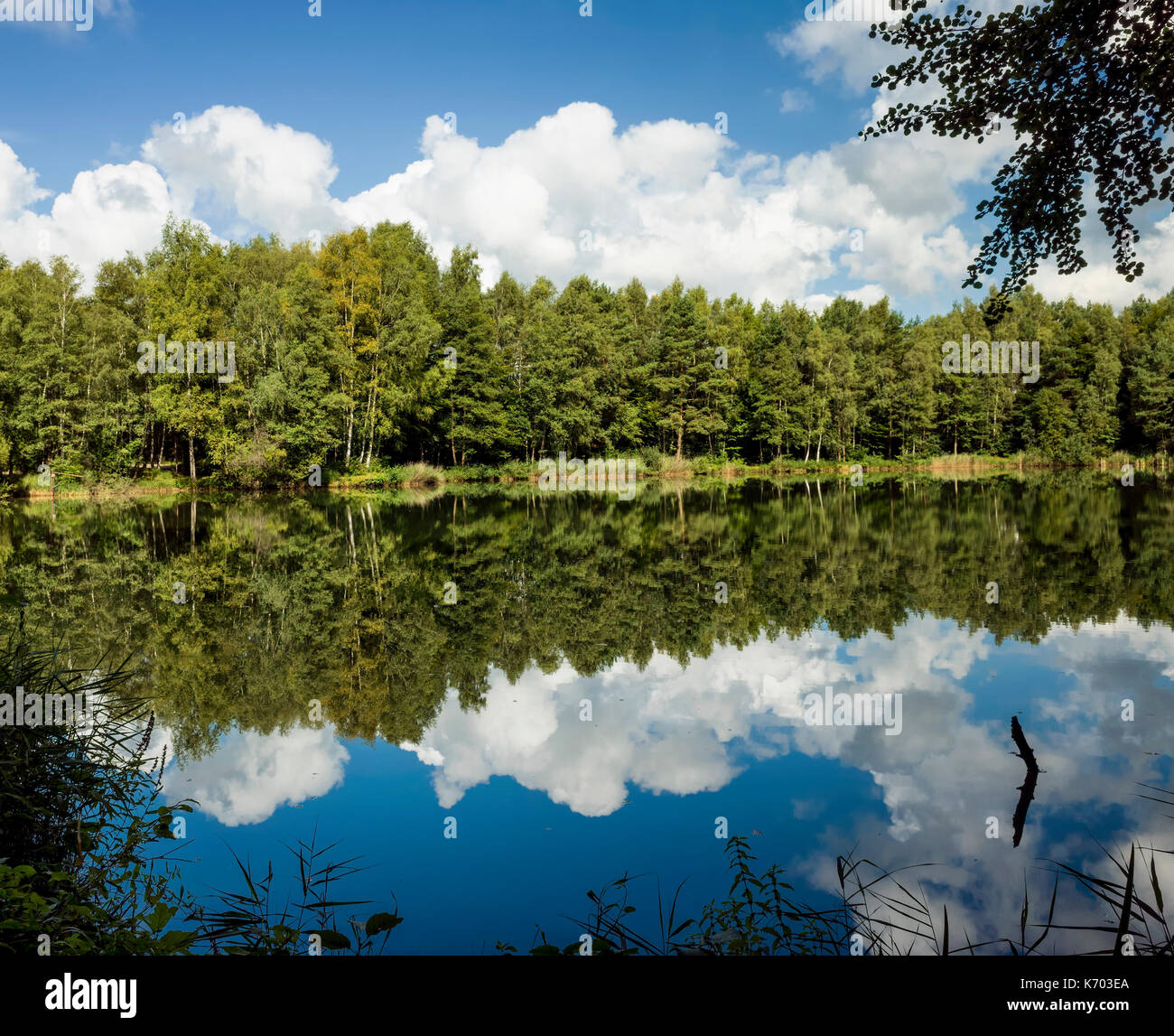Haren, Emsland, Lower Saxony.  Deutschland.  Germany.  A scenic view of reflections on the far bank of a lake in the suburbs of Harren.  Photographed on a bright sunny morning, which created the stark reflections on the water. Stock Photo