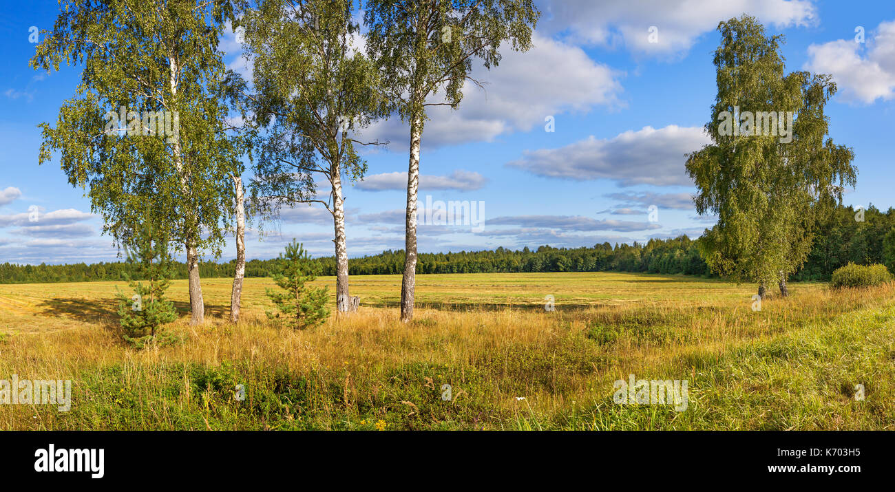 Harvesting fibre hi-res stock photography and images - Alamy