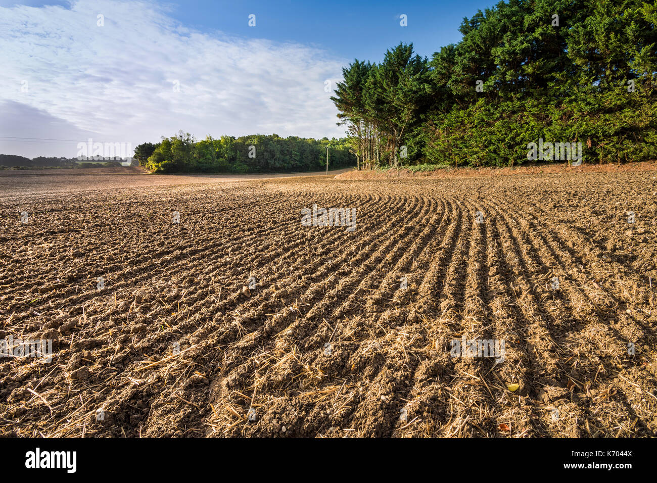 Newly harrowed farm field, France. Stock Photo