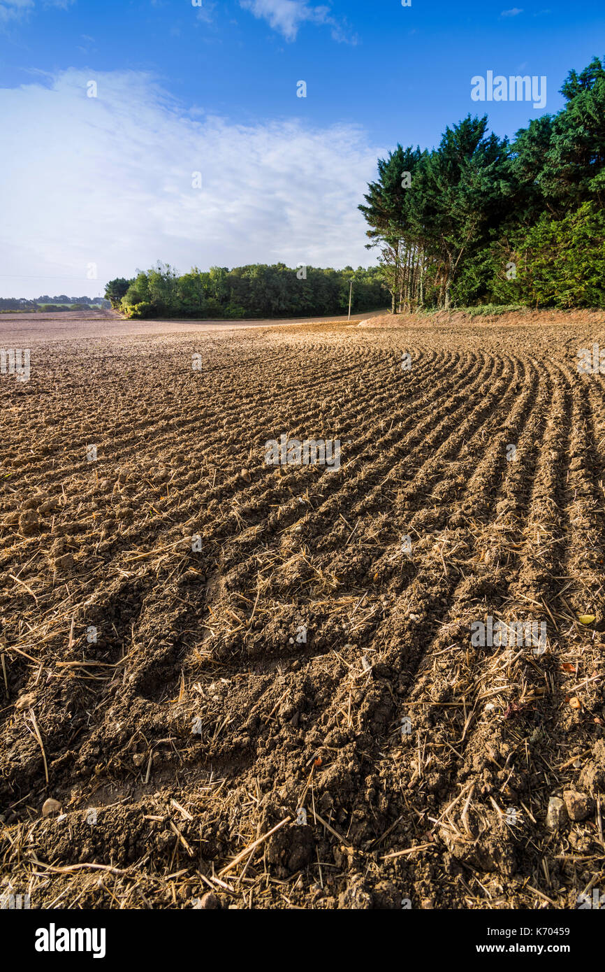 Newly harrowed farm field, France. Stock Photo