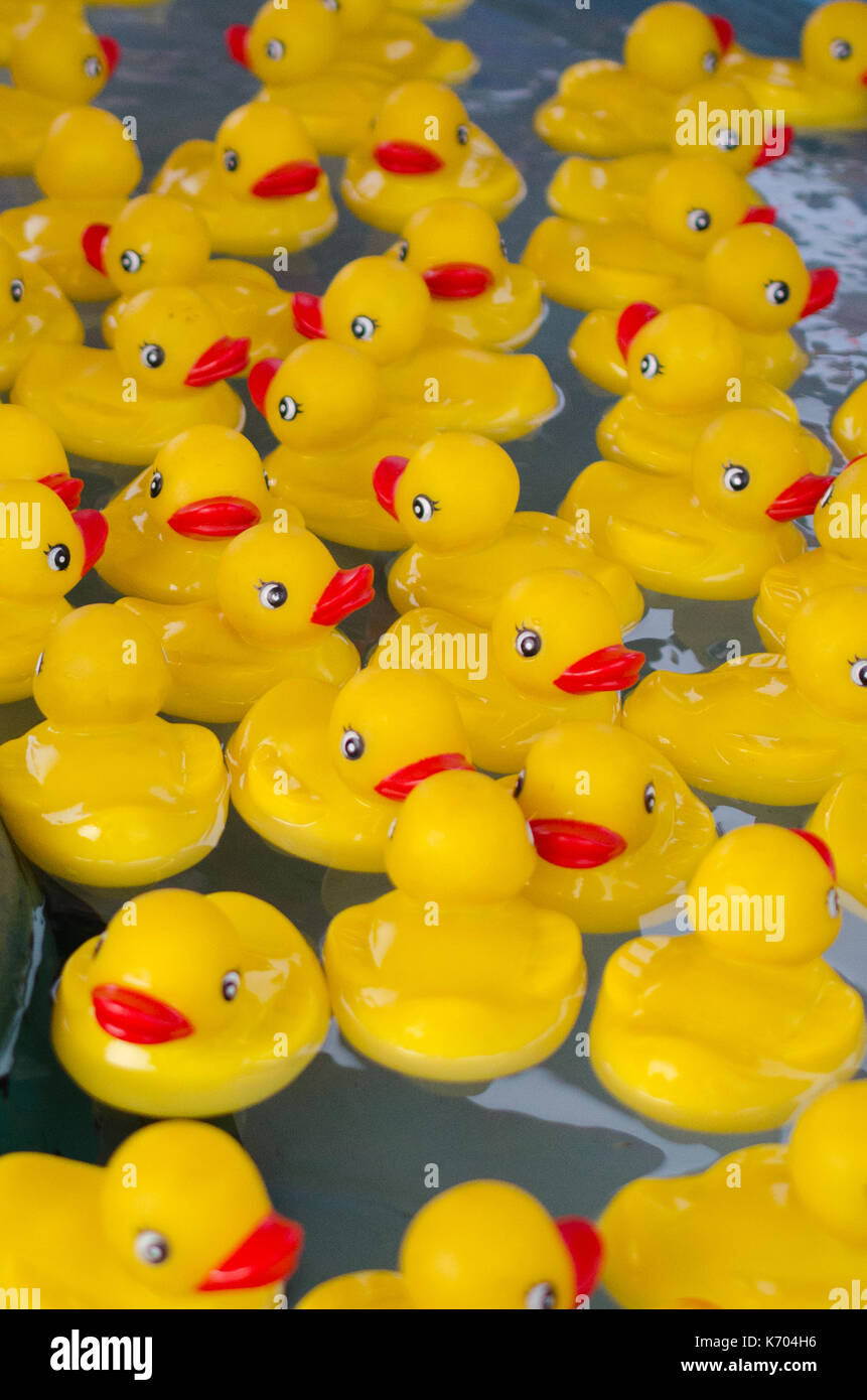 Rubber Duckys Stock Photo
