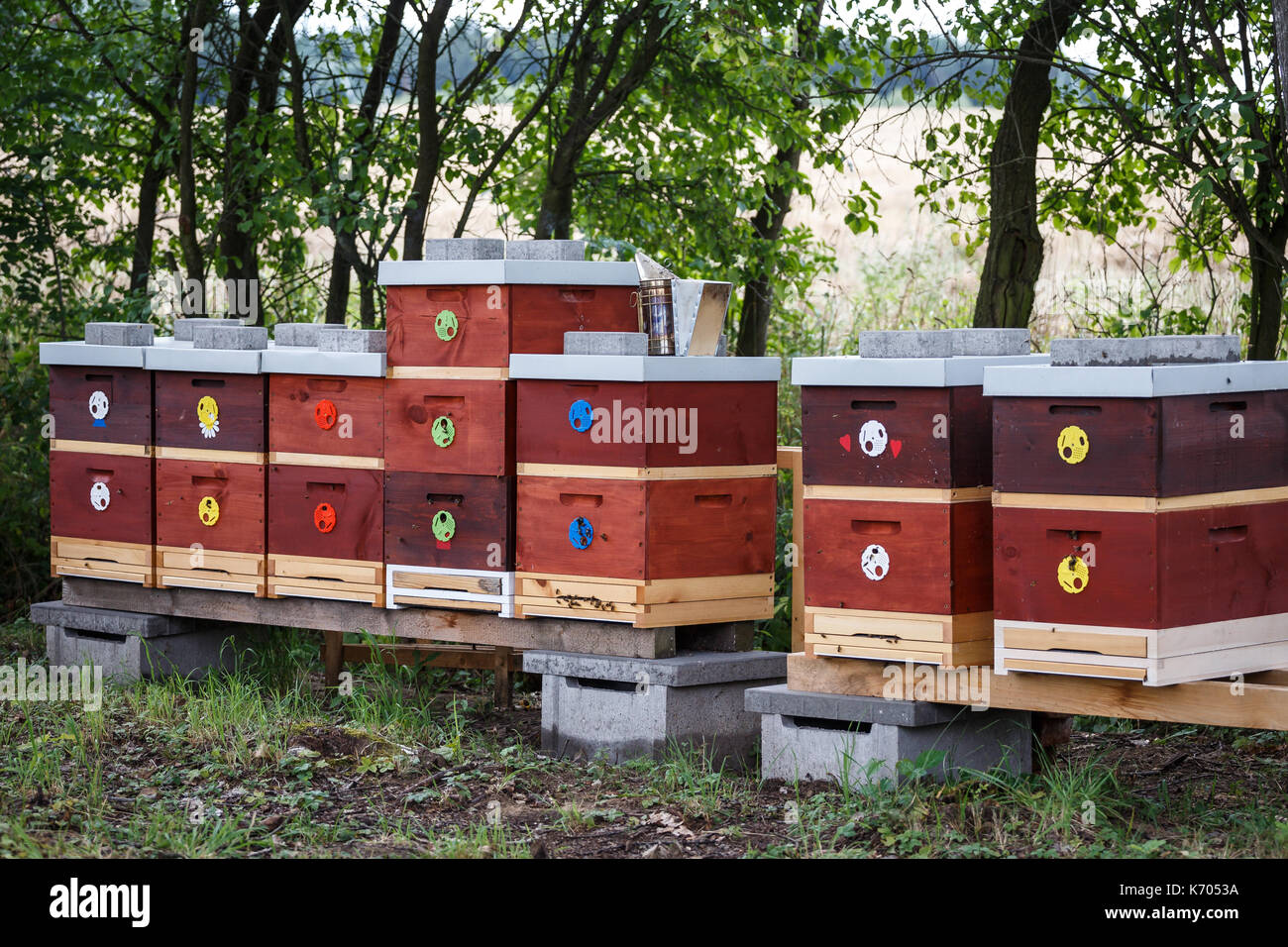 Wooden bee hives. Hives with bees Stock Photo Alamy