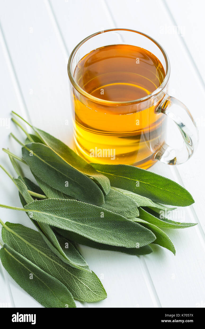 Sage tea and sage leaves. Infusion made from sage leaves. Medicinal