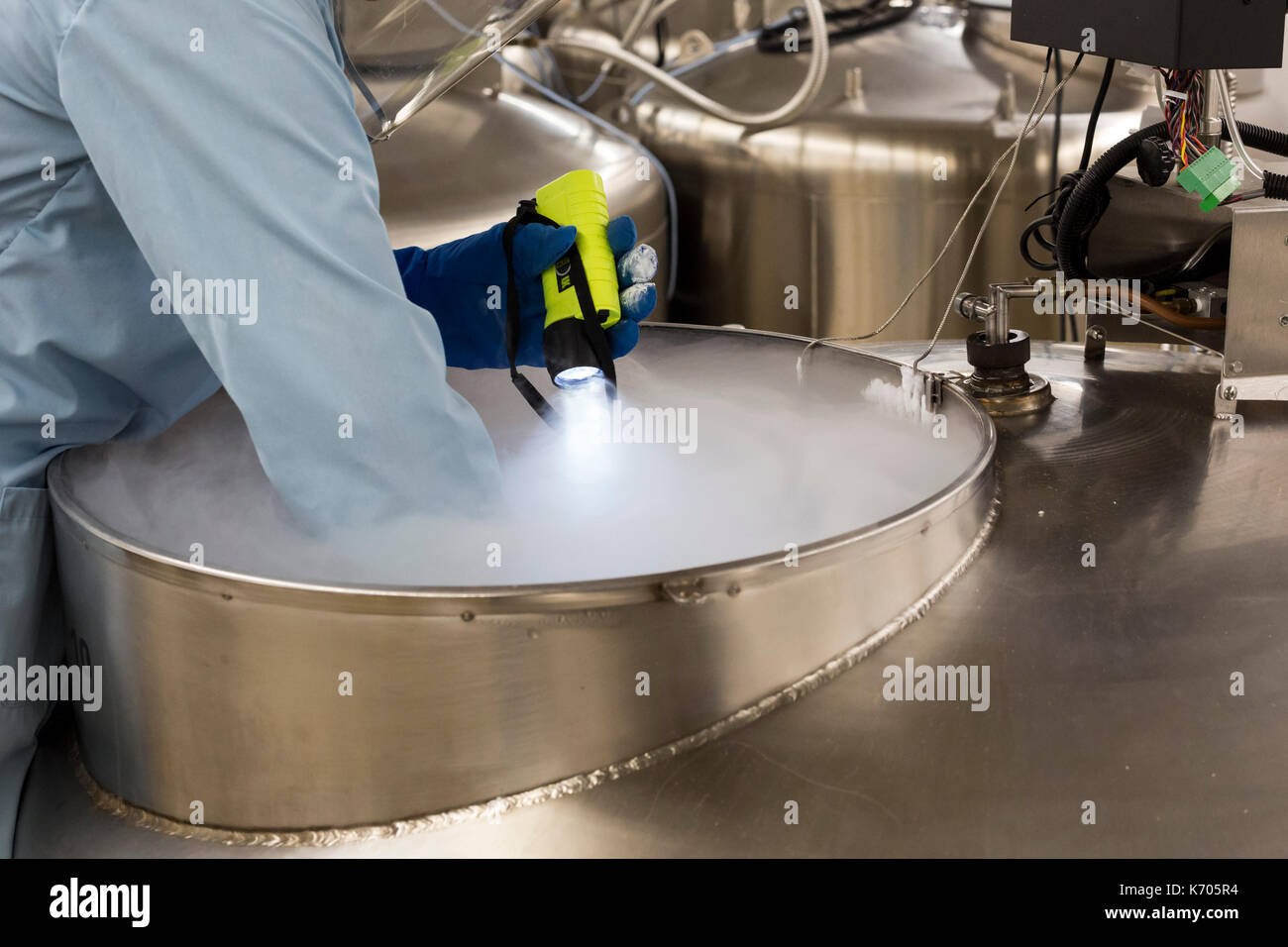 Fort Collins, Colorado - Amy Gurza, a biological science technician, inspects the contents of a tank of liquid nitrogen that stores seeds and other ge Stock Photo