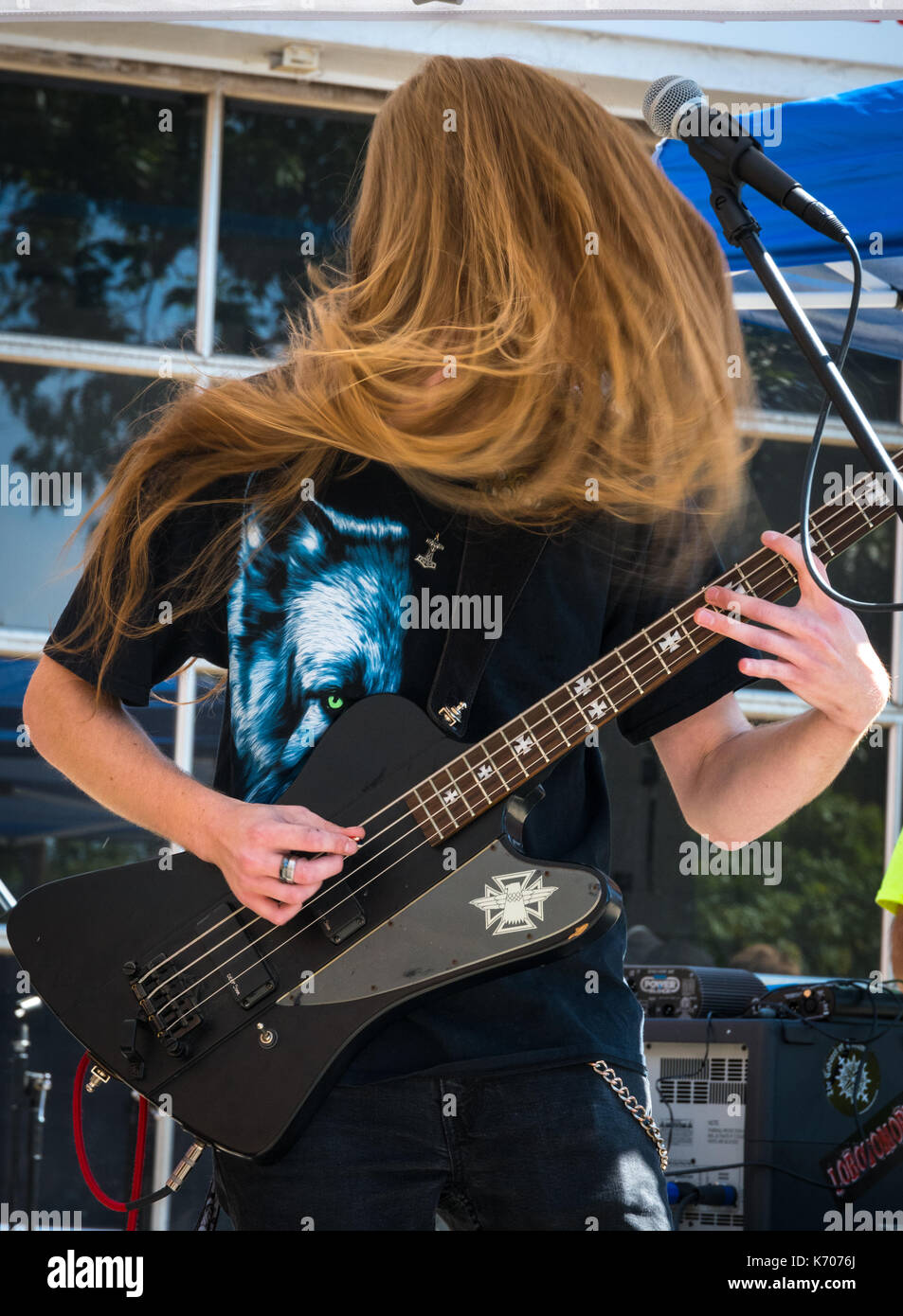A caucasian male, whose face is momentarily covered by his hair,  plays an electric bass guitar during a local outdoor music festival. Stock Photo