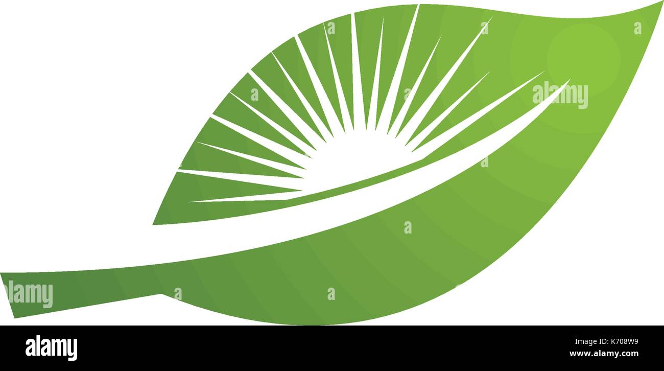 Logos of green leaf ecology nature element vector icon Stock Vector ...