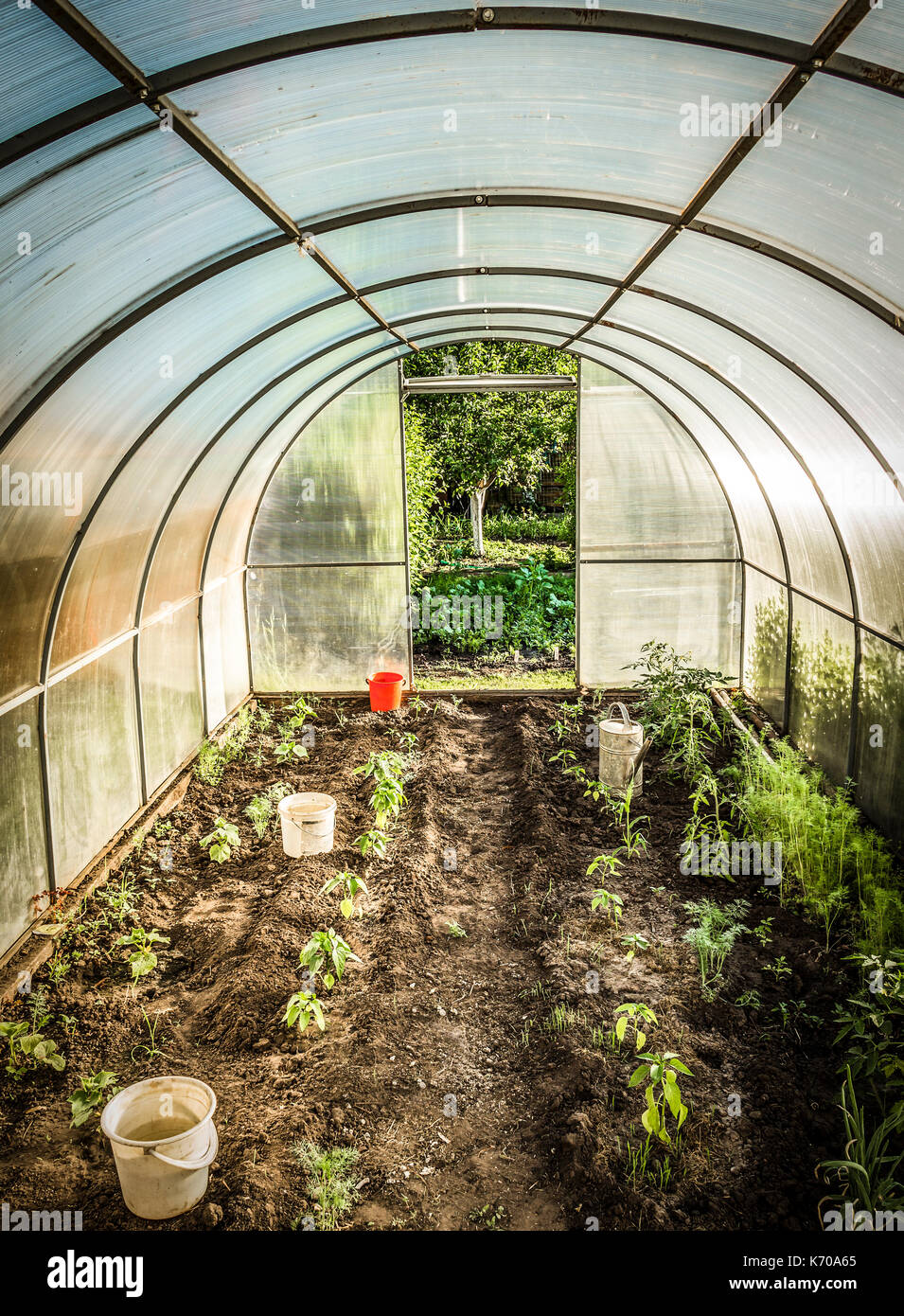 Biology greenhouses hires stock photography and images Alamy