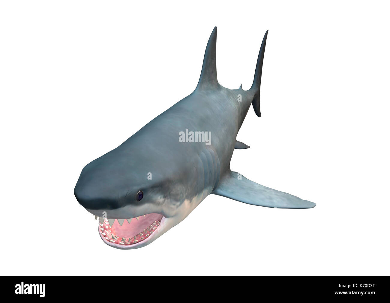 3D rendering of a Megalodon or Carcharocles megalodon, an extinct