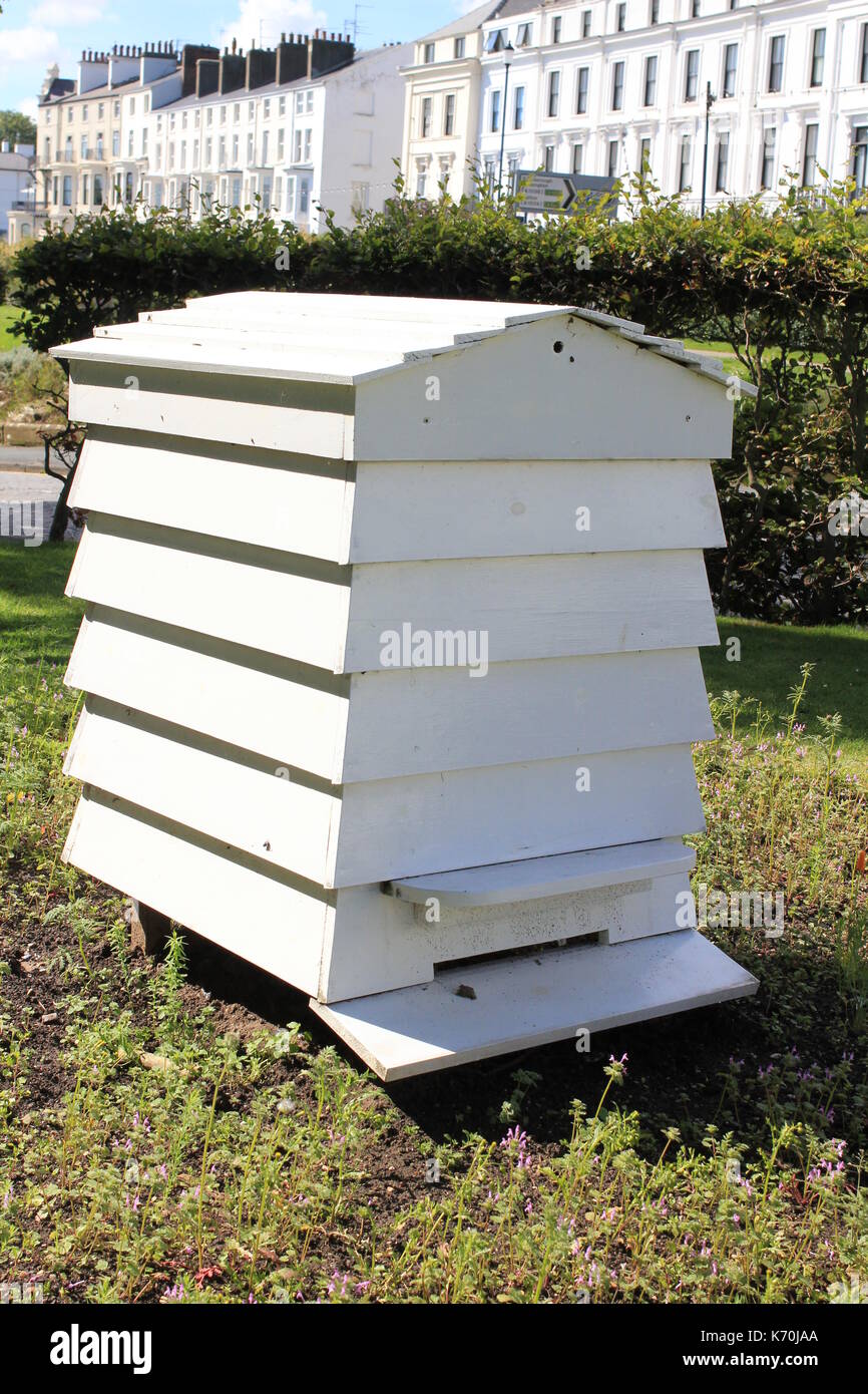 Wbc hive hi-res stock photography and images - Alamy