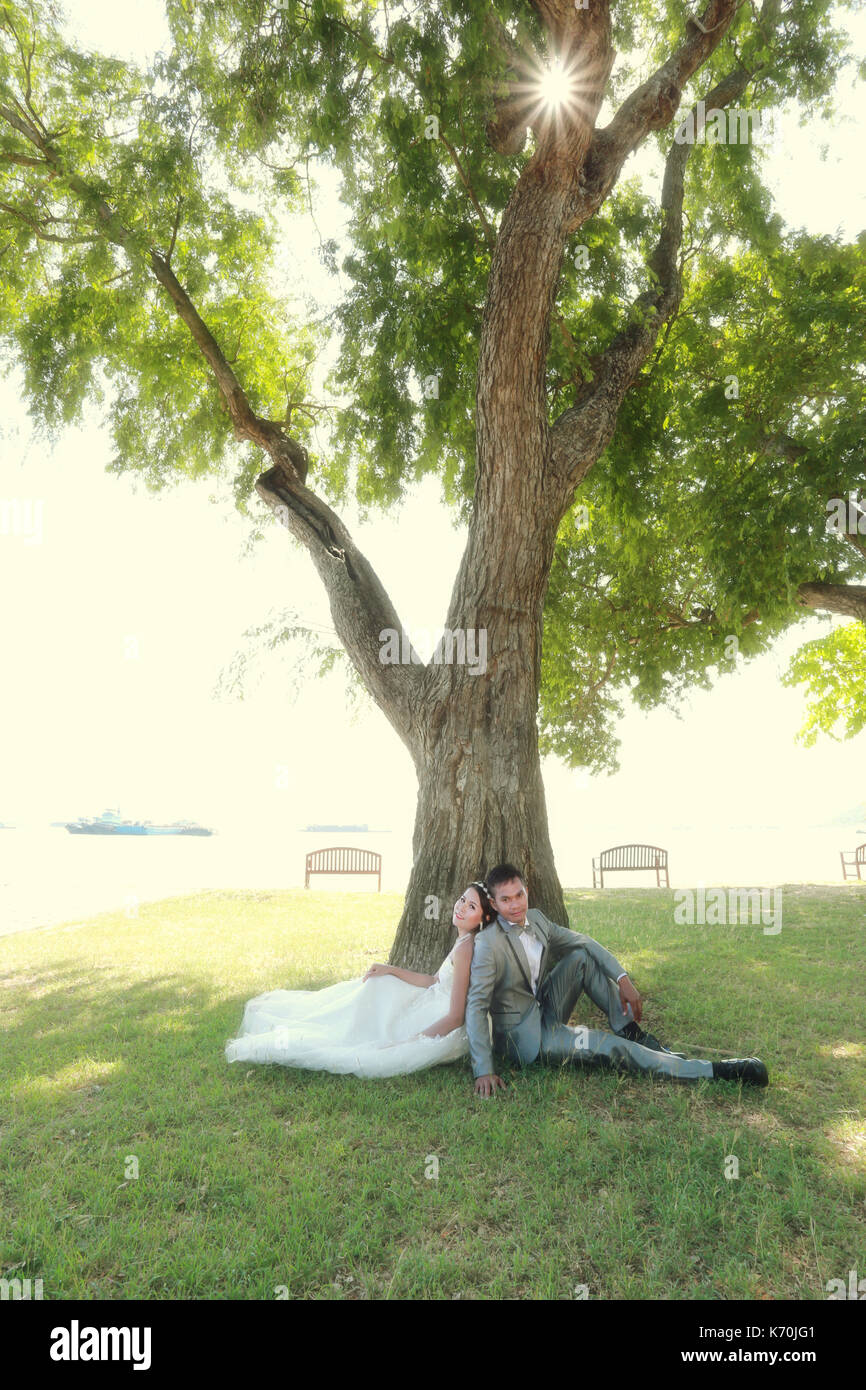 photograph of Pre wedding Asian couples Under a tree in a flower garden in concept of starting a life partner and family life. Stock Photo