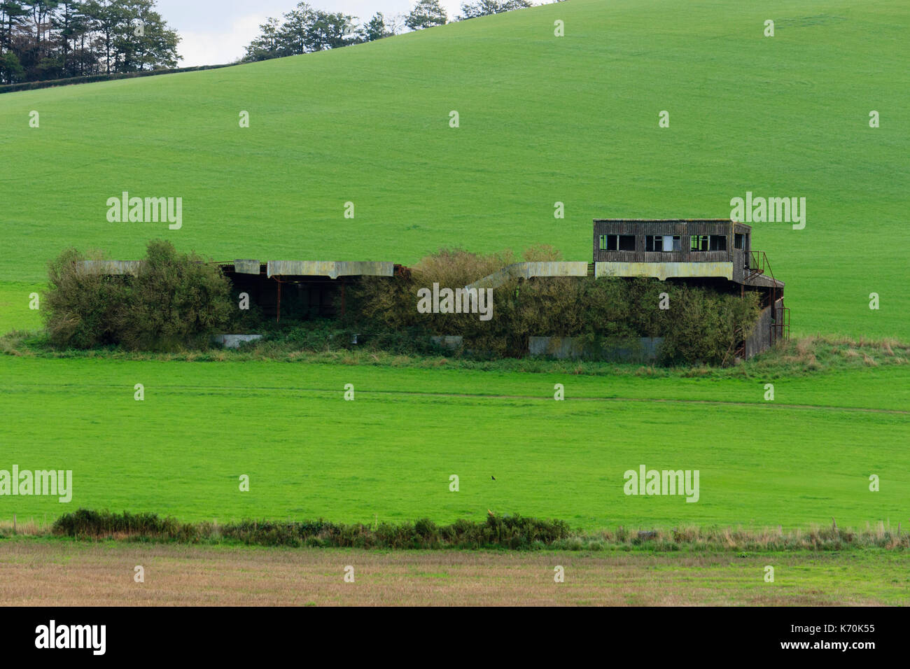 The derelict grandstand on the site of what was Buckfastleigh