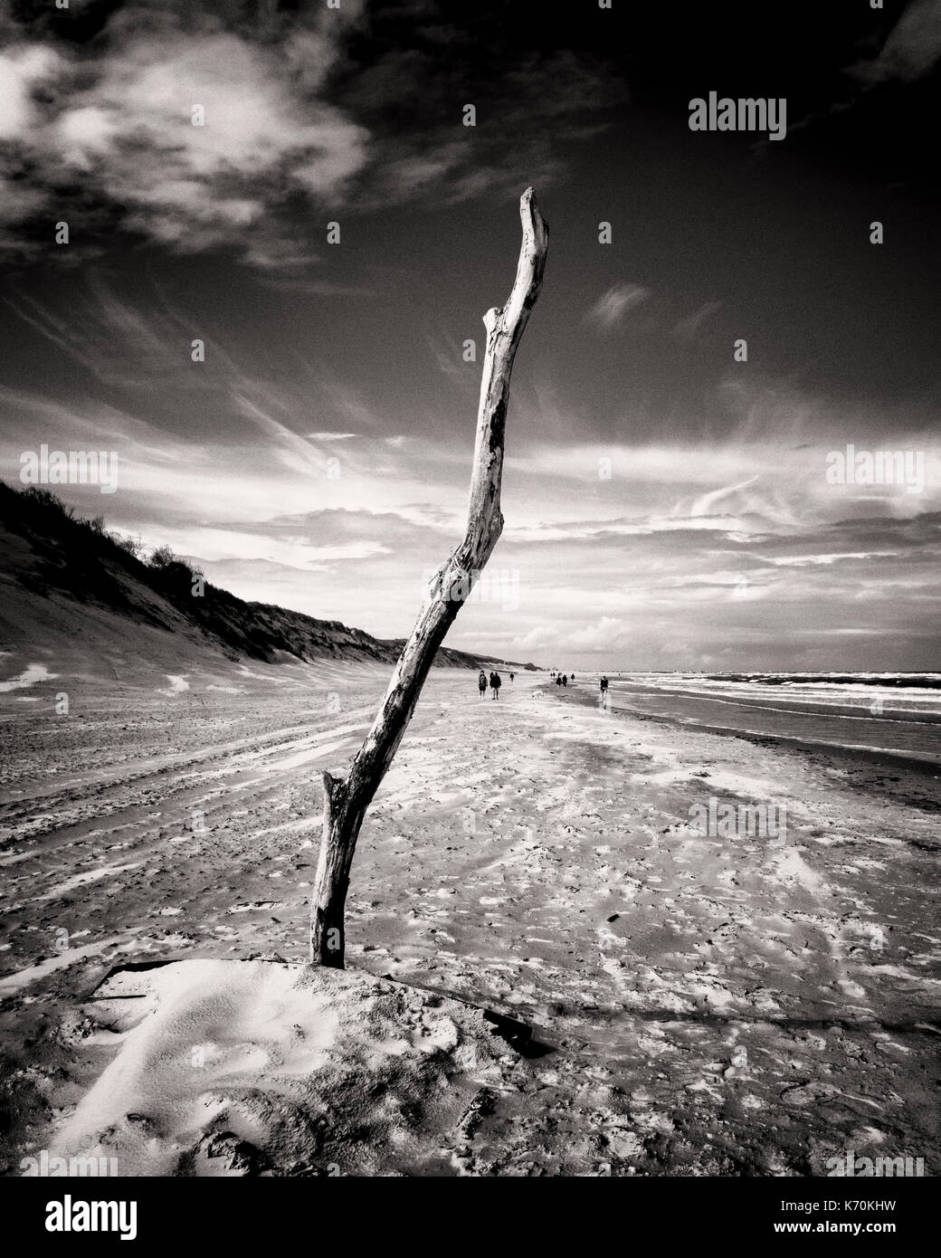 Langeoog, Germany. A piece of driftwood placed in the sand on beach to stand-up tall and prominently against the sky.  View looking along the beach coastline with sand dunes on one side and the see on the other.  Tourists appear tiny in the distance as they walk along the sandy beach. Stock Photo