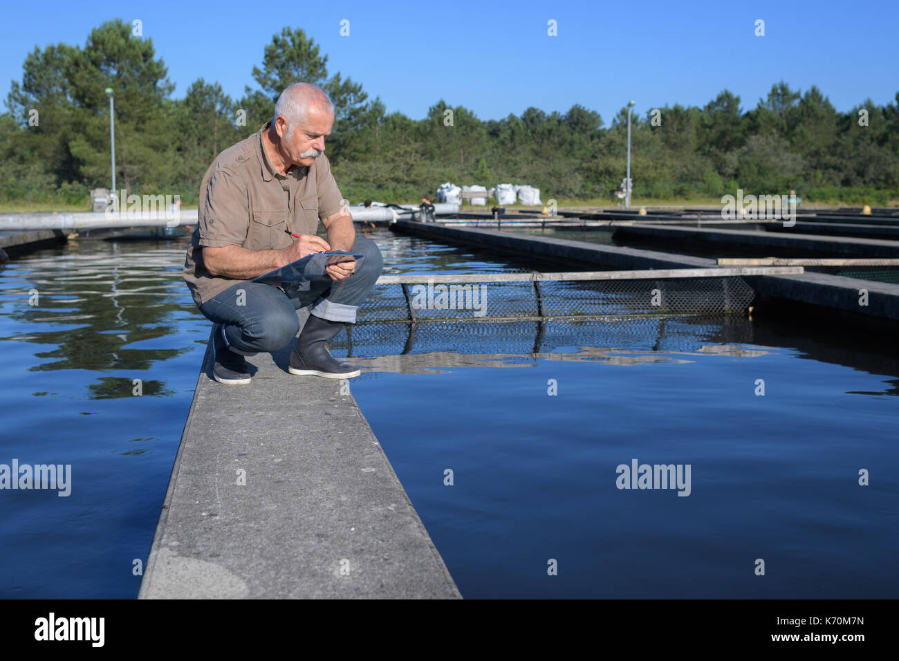 the product inspector Stock Photo