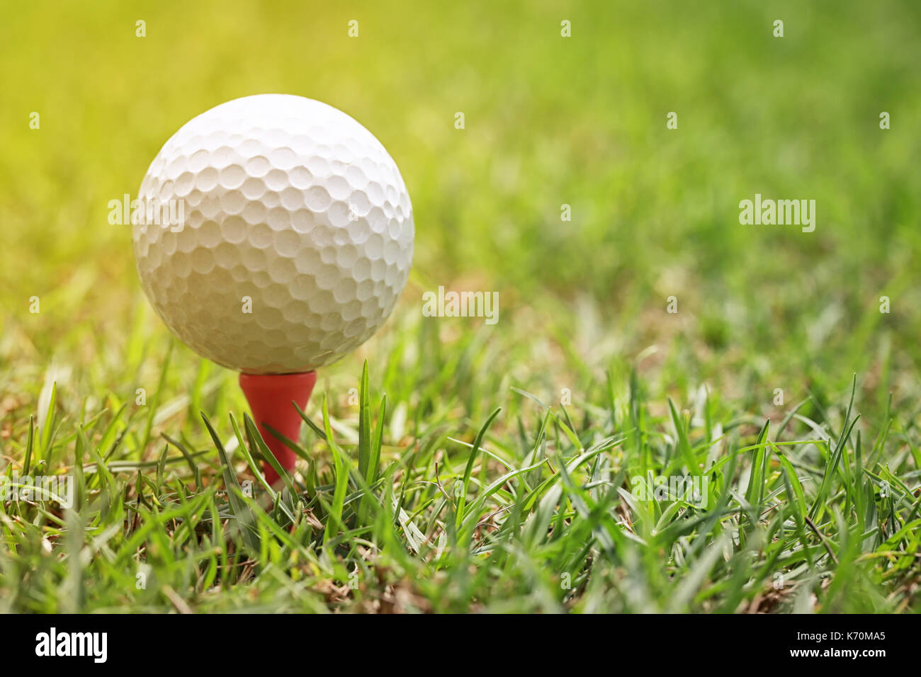 White golf ball and morning sunlight on the lawn. Stock Photo