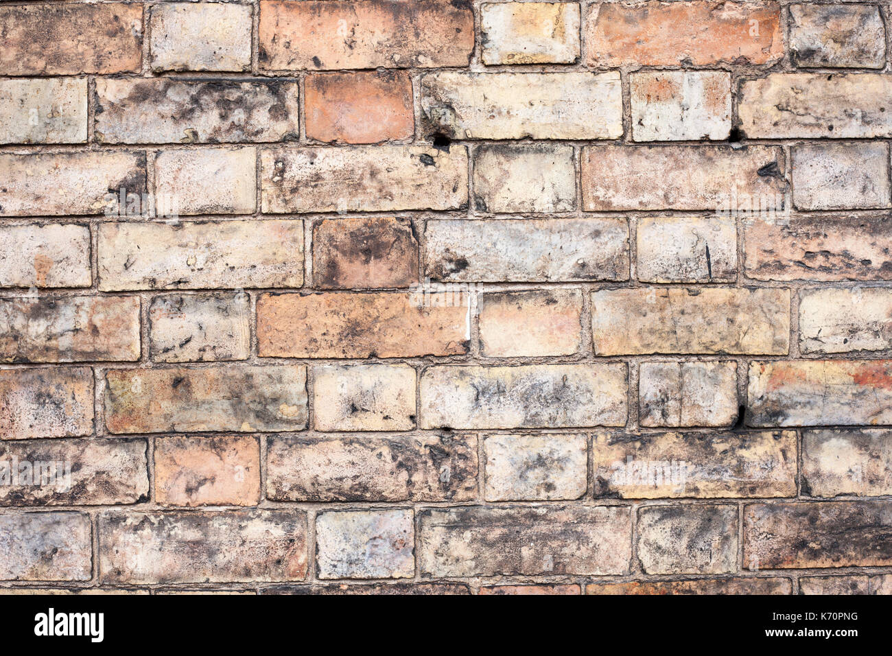 Brick wall background texture Stock Photo