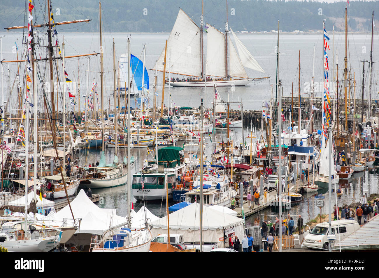 Wooden Boat Show Port Townsend, sailing boat in marina harbor, Point Hudson. With Adventuress schooner in background. Stock Photo