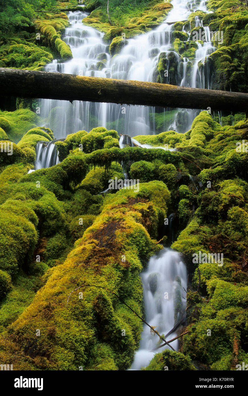 Upper Proxy Falls, Three Sisters Wilderness, Willamette National Forest, Oregon Stock Photo