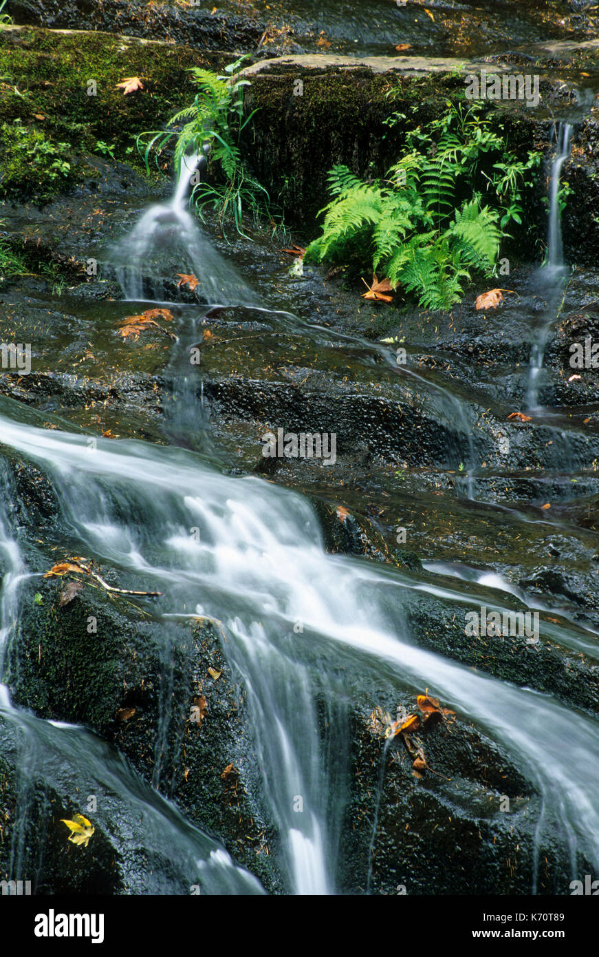 Alsea Falls, Alsea Falls Recreation Site, South Fork Alsea River National Back Country Byway, Oregon Stock Photo