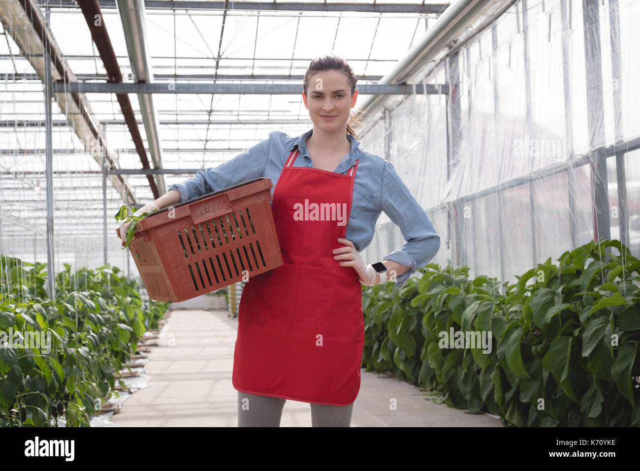 Woman holding wicker basket hi-res stock photography and images - Alamy