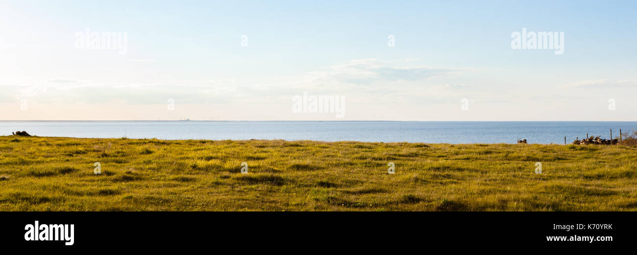 horizontal banner with green grass, blue sea and sky horizontal layers Stock Photo