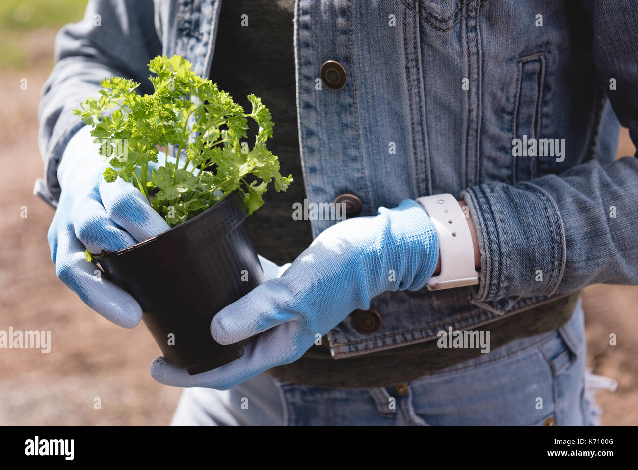 Woman plant pot holding hi-res stock photography and images - Alamy