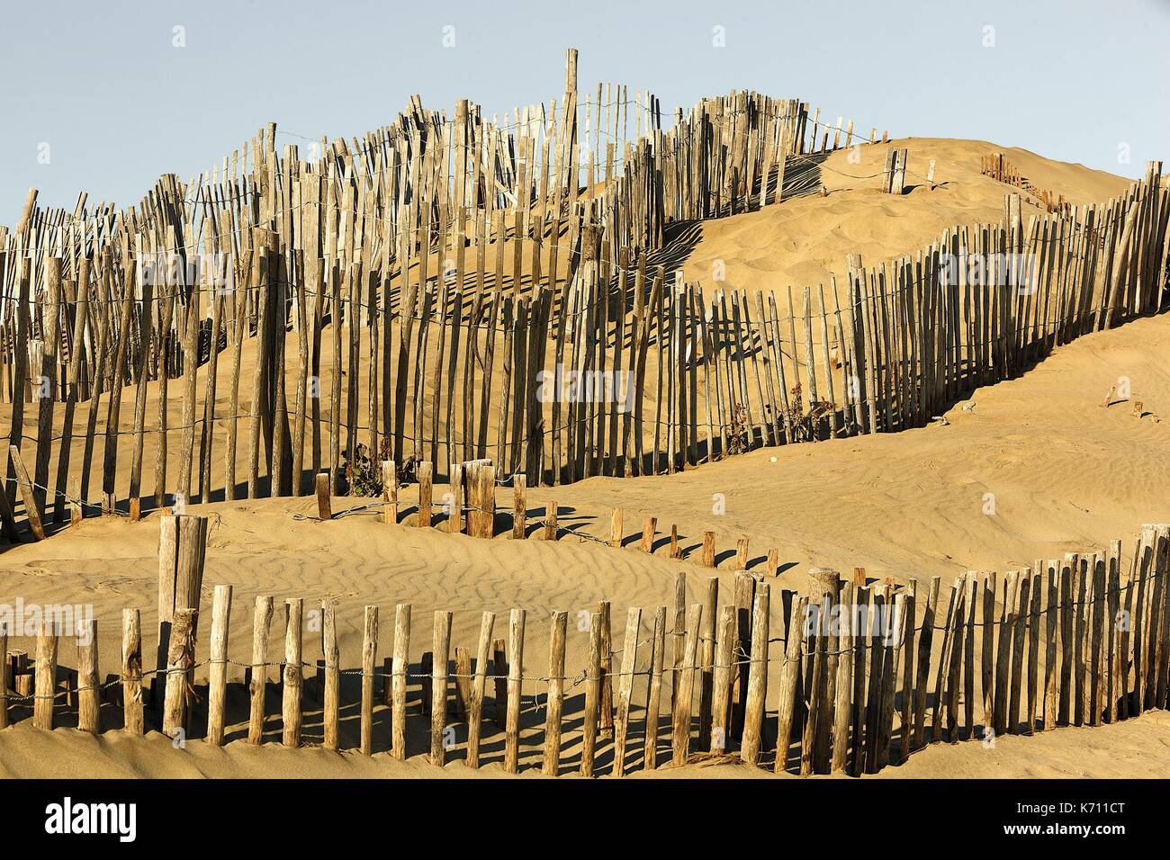 France, Gard, Site protected by the Conservatoire du Littoral, Espiguette, dune fixation barriers Stock Photo
