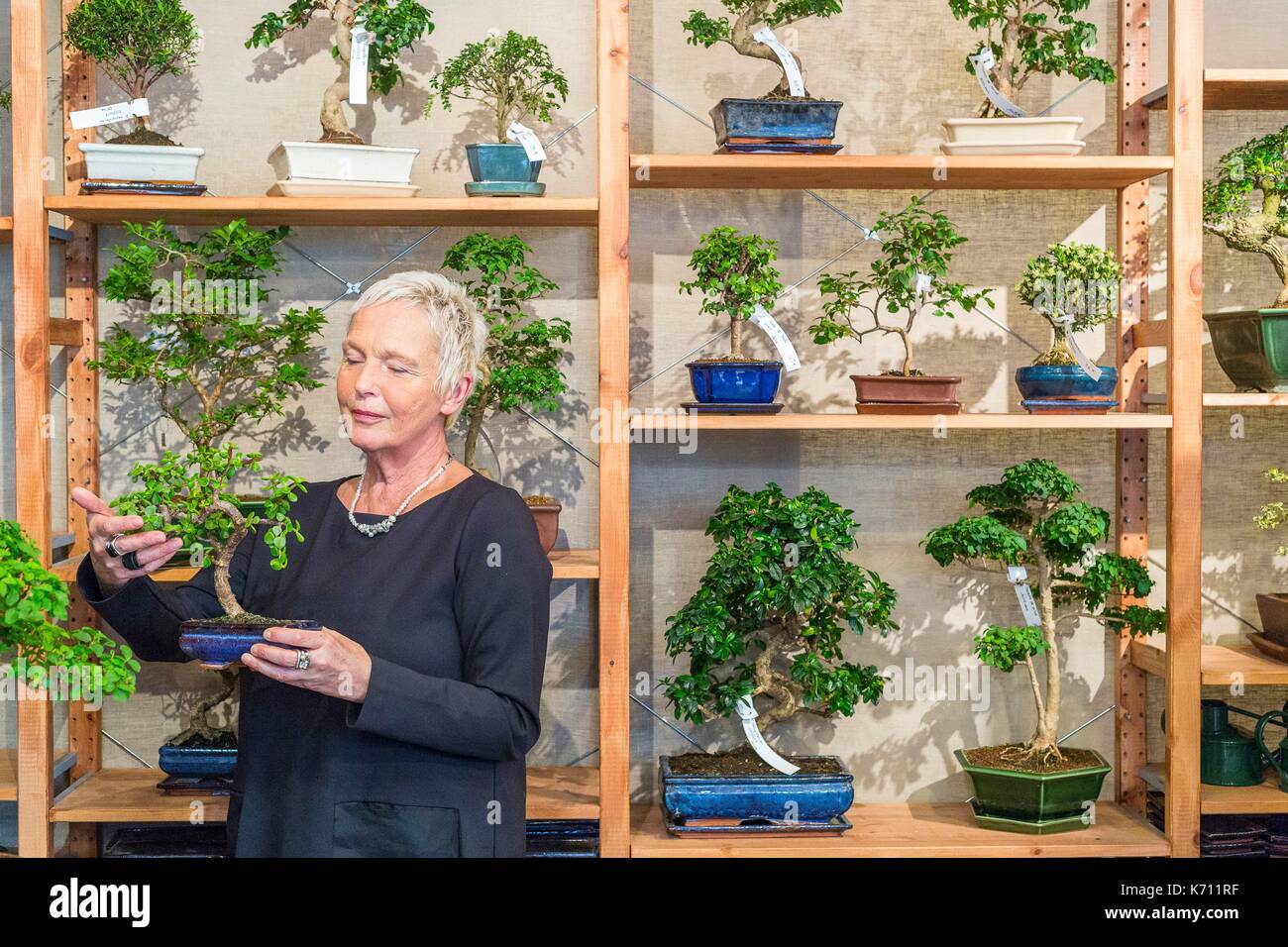 France, Paris, Rue de la Croix Nivert, Paris Bonsa, a store specializing  in the sale of bonsai since 1994 Stock Photo - Alamy
