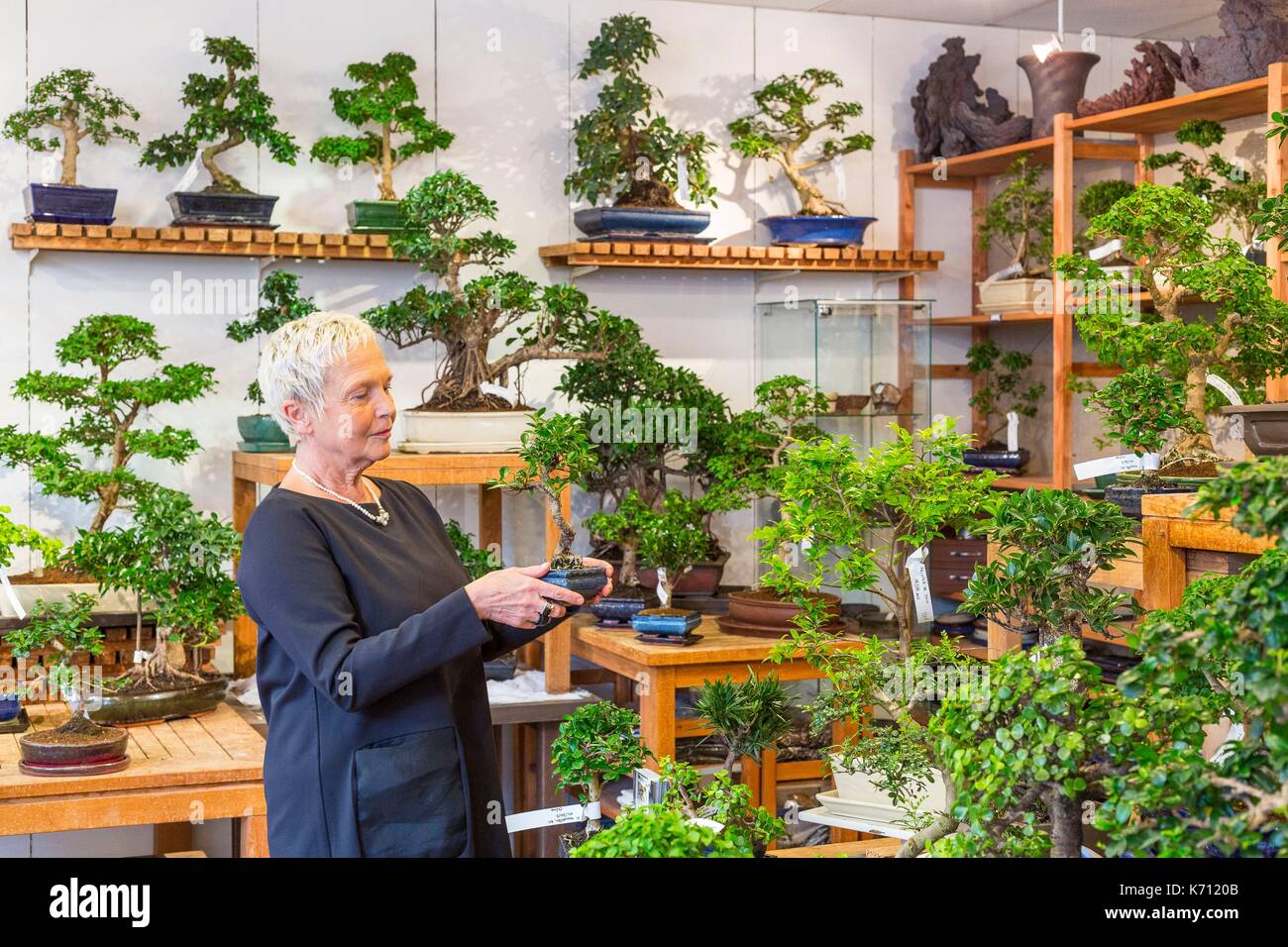 France, Paris, Rue de la Croix Nivert, Paris Bonsa•, a store specializing  in the sale of bonsai since 1994 Stock Photo - Alamy